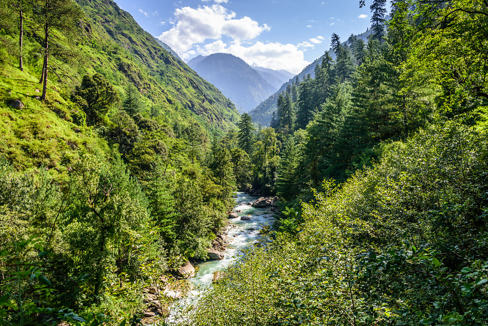 The lush green Great Himalayan National Park, a UNESCO world heritage site